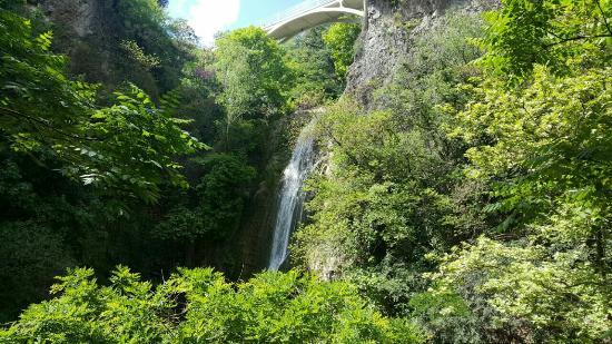 Jardín Botánico Central de la Academia de Ciencias de Georgia
